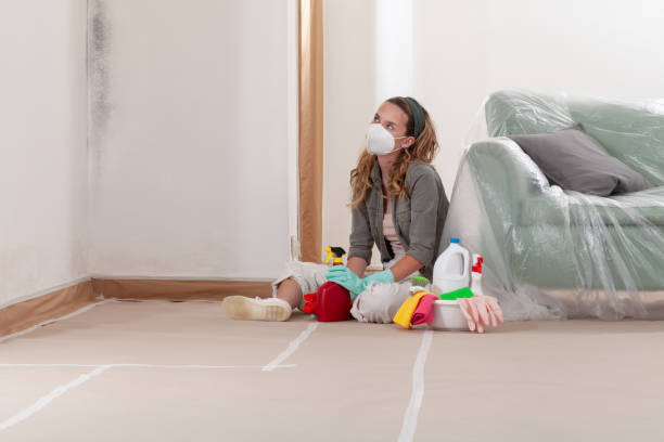 Reliable Black Mold Removal contractor in Windsor, NJ by WQB Mold Removal